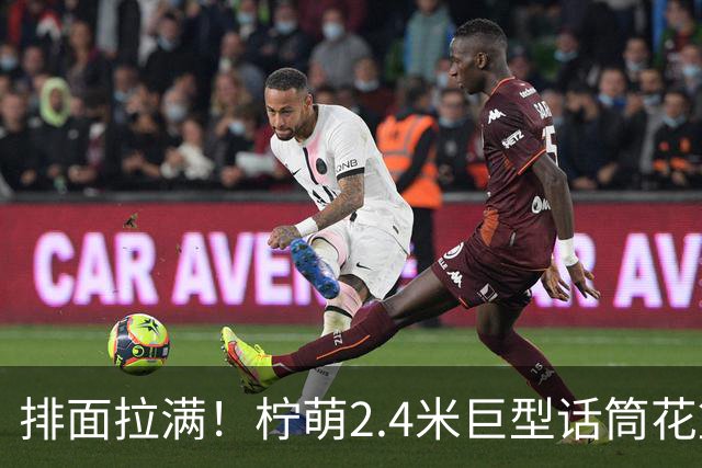 排面拉满！柠萌2.4米巨型话筒花篮，送到肖战演唱会现场